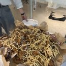 기타선율에 행복을 싣고 | 울산 기타학원 코스틱코드 : 가을밤을 채운 코코호프, 음악과 웃음으로 하나된 시간!