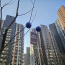 운정역HB하우스토리공인중개사사무소 | 사전점검업체 올체크 후기 공인중개사가 직접 점검하는 전문 장비의 디테일!