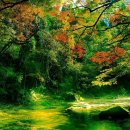 강남실버케어 복지센터 이미지