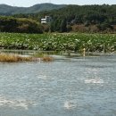 신정호수공원-10 이미지