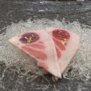 송프로 참치 이미지