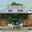 대박민박 이미지