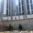 타이거짐 | 이천 pt 타이거짐 솔직 후기!