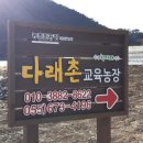 다래촌 이미지