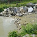 가음정천 이미지