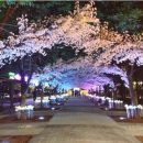 2025 대전 서구 아트페스티벌 이미지