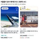 메트로렌탈엔투어서비스(주) | 서호주 퍼스 여행 일정 추천 :: 로트네스트 쿼카 섬 페리 예약, 피나클스 사막 투어 후기, 할인쿠폰