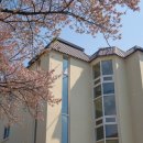 아몬드빌라 이미지