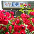 굿모닝상사 이미지