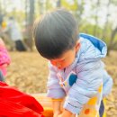 숲속햇살어린이집 이미지