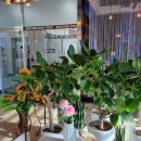 뉴욕본스테이크 이미지