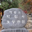 계룡산 학림사 오등선원 이미지