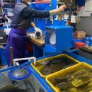 서생상회 이미지