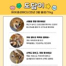 도담에너지 Daum카페
