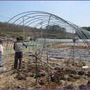 정근농장 이미지