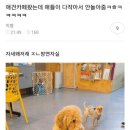 안까페 이미지