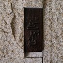 동백꽃식당 이미지