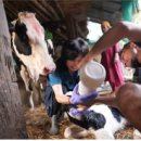 번영목장 이미지