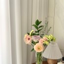 덩크리 카네이션 장미 생화 꽃배송 꽃꽃이 키트