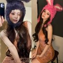 스타버니 이미지