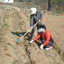 형제농장B 이미지