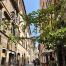 D00154 | [유럽여행] 로마 여행 스페인계단 로마 잇탈리 EATALY 위치, 가는법 잇탈리 선물추천 쇼핑리스트