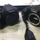 디카플러스 이미지