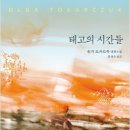 태고 이미지