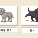 24시 코끼리동물의료센터 이미지