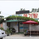 탐진강메기탕