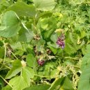 이현농장 이미지