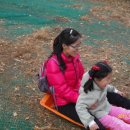 임실치즈피자 이미지