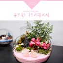 행선로15 | 동두천 테라리움 원데이클래스, 나뚜라플라워♥ | 동두천 원예 체험, 미니가드닝