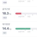 [미아역 헬스장 PT] 흔한 직장인의 근육 지키기 프로젝트 | 라이프 빌딩짐 미아점 | PT 10회차 후기