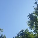 코리아국제행정사사무소 이미지
