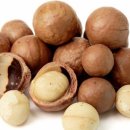 도그야미 이미지