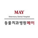 메이 동물병원 | 강남구 역삼동 동물병원 동물치과병원메이 진료시간 접근성 이용후기