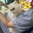 카이 PC방 | 8월 초~여름휴가 일기 끝