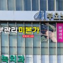 미본피부