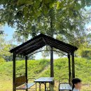 악양생태공원(숲속놀이터 옆) 네이버블로그