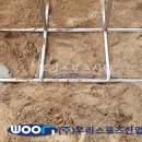 어룡초등학교 티스토리