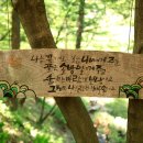 남원꽃식물원 앞 이미지