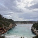 서해주유소 | 스페인 바르셀로나 신혼여행 7_마요르카 렌트 반납 바르셀로나 피카소 미술관 투어