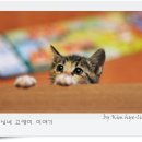 티미 이미지