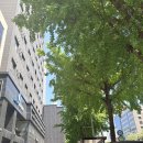 덕하로R | [이대역 피부경락] 새라본에스테틱 신촌이대본점 얼굴경락 1회 체험 리얼 후기 (주차 꿀팁 포함)