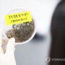 선유3배수펌프장 이미지