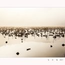 청도의 아침 이미지