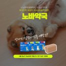 노바동물약국 이미지