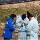 금마의원 이미지