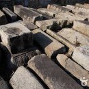 흔적으로의 여행 이미지